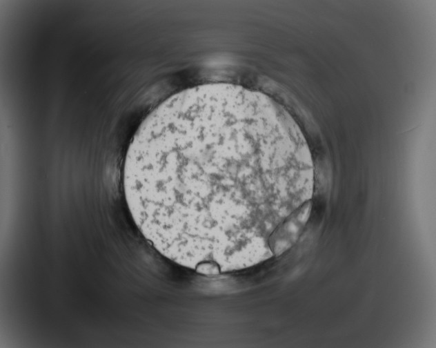 X0000086760427200705111719
