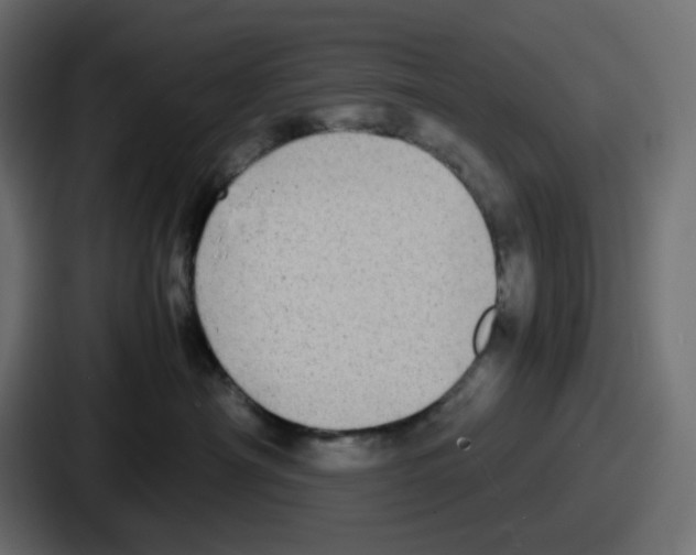 X0000086760430200705111719