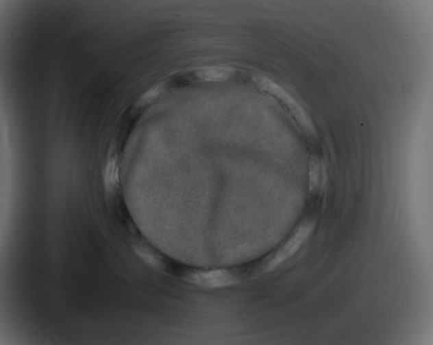 X0000086760431200705111719