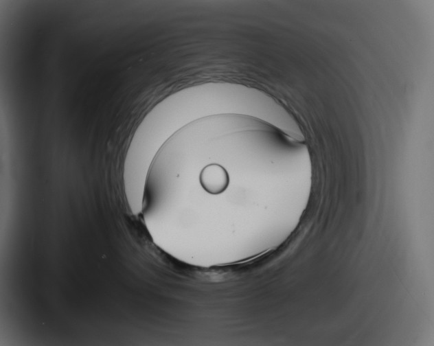 X0000086760432200705111719