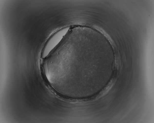 X0000086760434200705111718