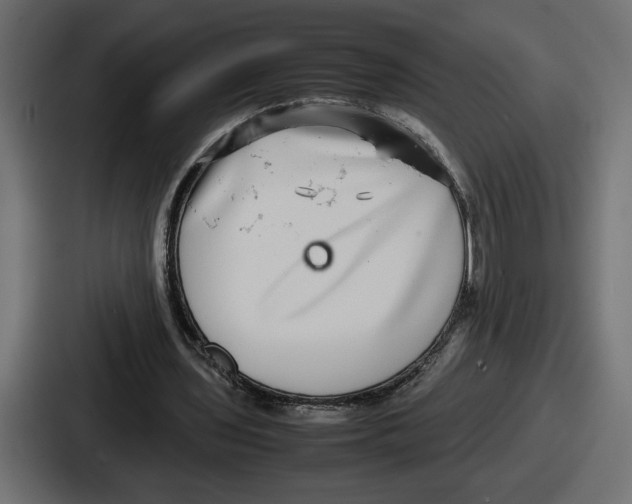 X0000086760435200705111718