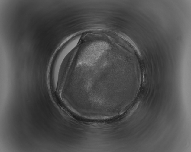 X0000086760436200705111718