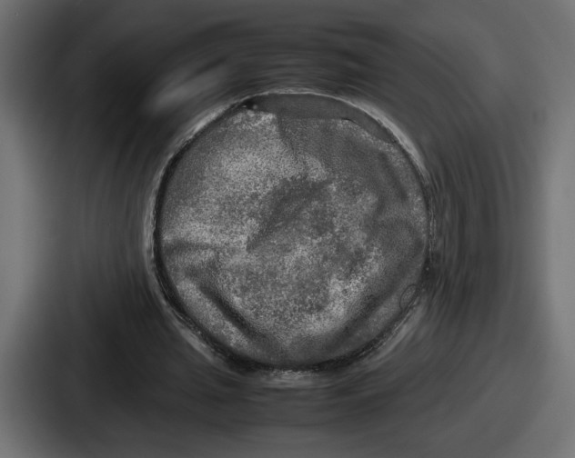 X0000086760437200705111718