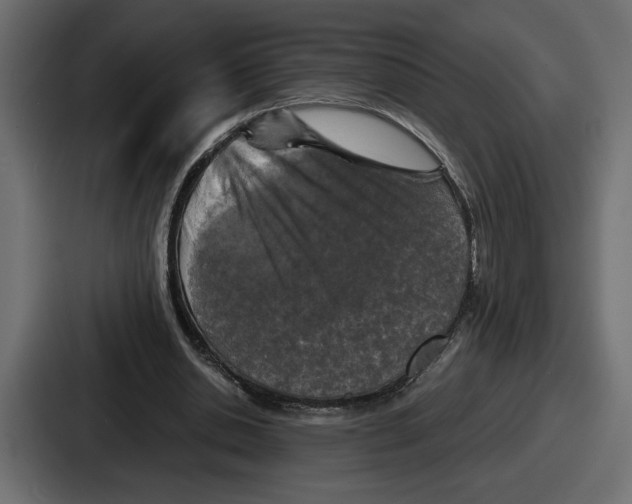X0000086760438200705111718