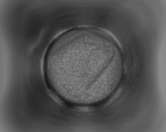 X0000086760439200705111718