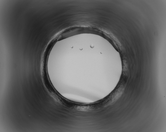 X0000086760440200705111718