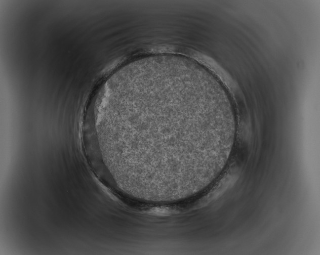 X0000086760441200705111718