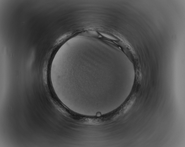 X0000086760442200705111718