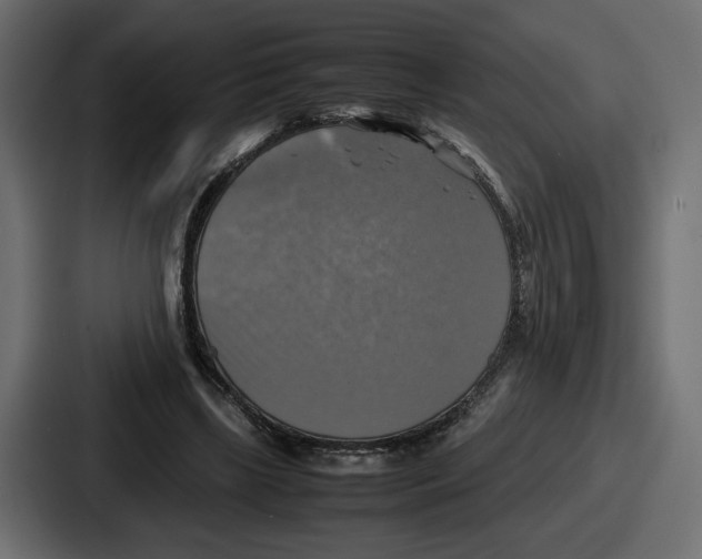 X0000086760443200705111718