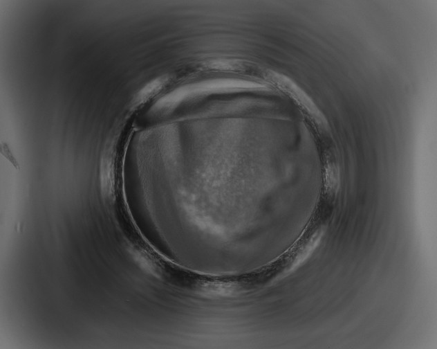 X0000086760444200705111718