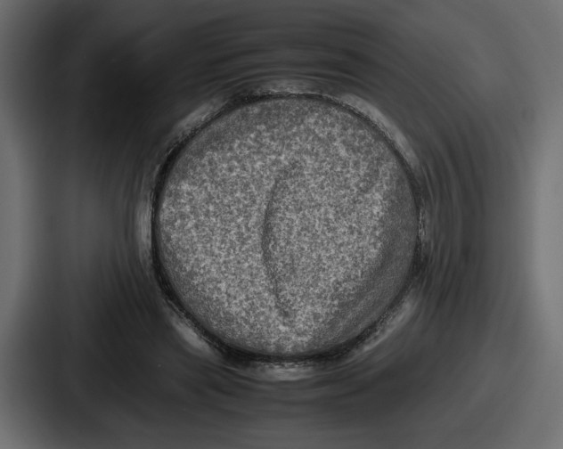 X0000086760445200705111718