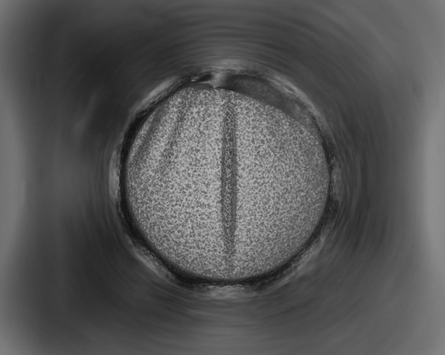 X0000086760446200705111718