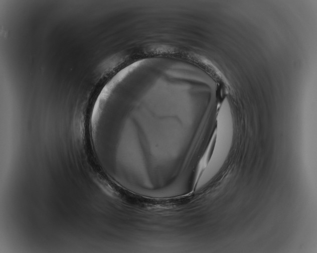 X0000086760447200705111718