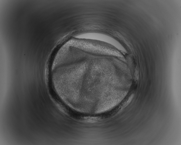 X0000086760448200705111718