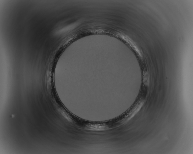 X0000086760449200705111718