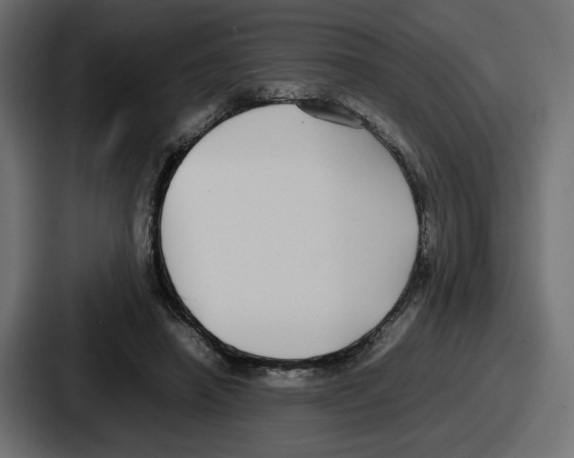 X0000086760450200705111718