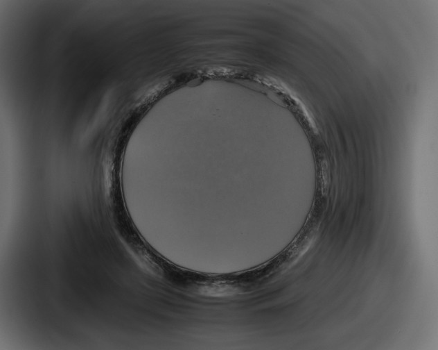 X0000086760451200705111718