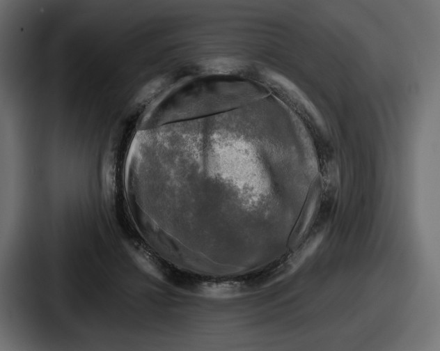 X0000086760452200705111718