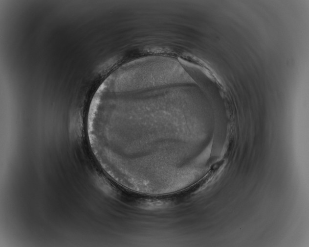 X0000086760453200705111718