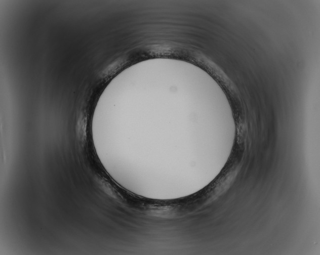 X0000086760454200705111718