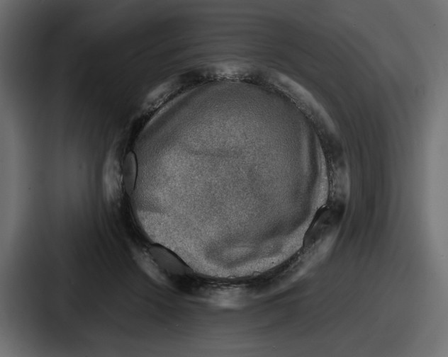 X0000086760456200705111718