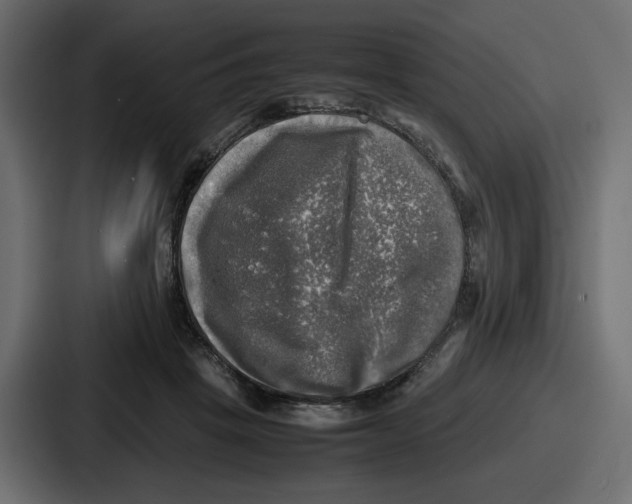 X0000086760457200705111718