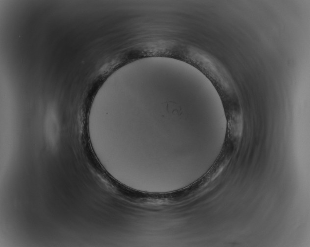 X0000086760458200705111718