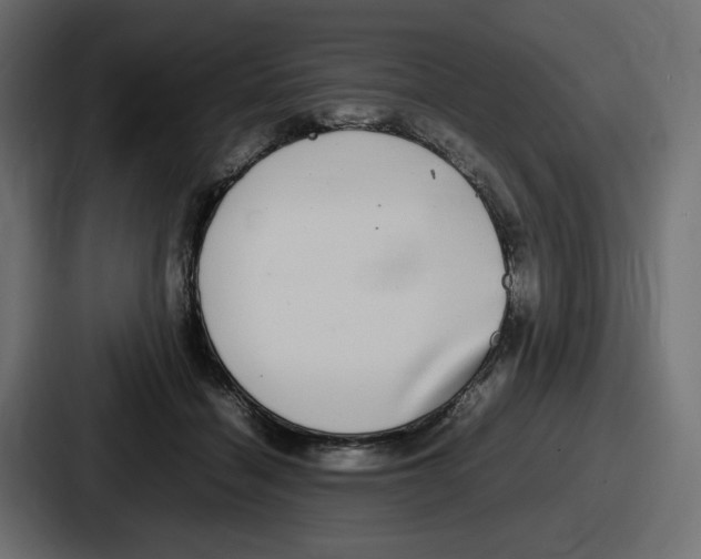 X0000086760460200705111718