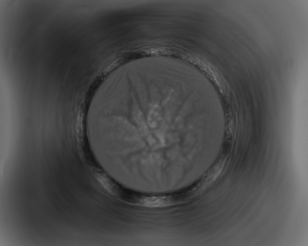 X0000086760461200705111718