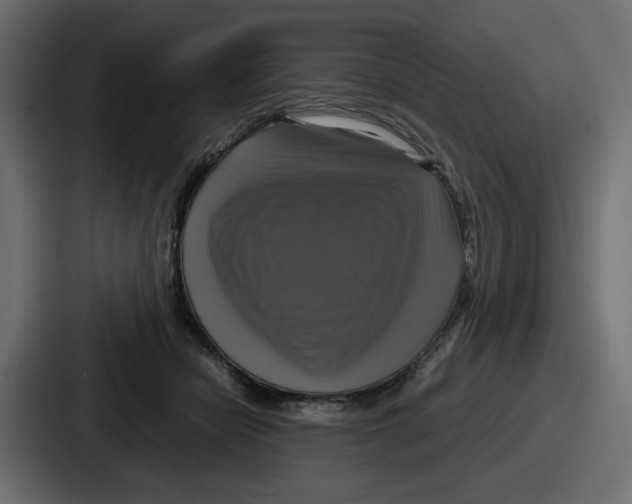 X0000086760462200705111718