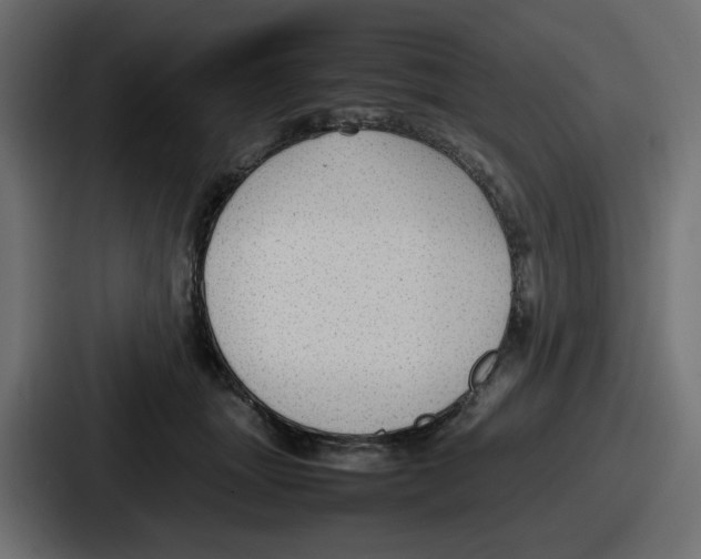 X0000086760463200705111718