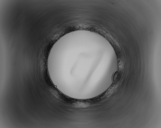 X0000086760464200705111718