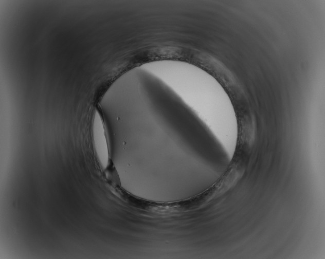 X0000086760465200705111718