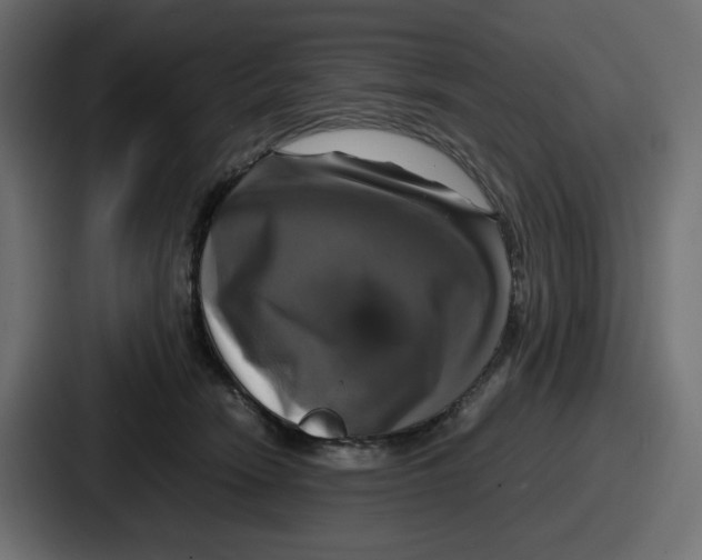 X0000086760466200705111718