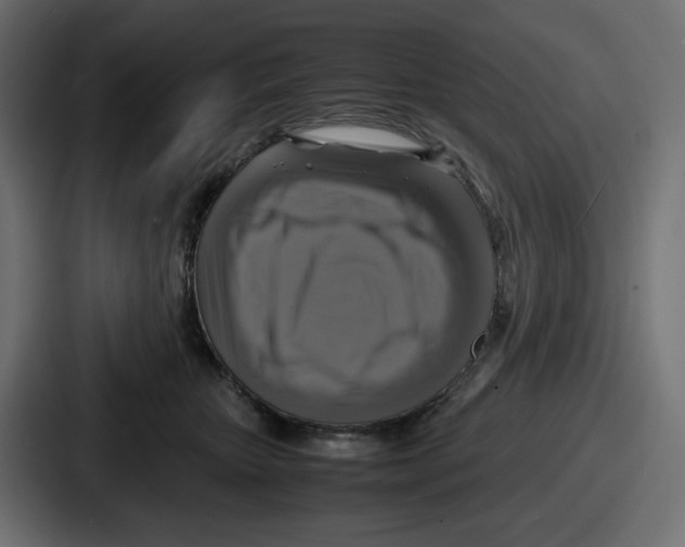 X0000086760467200705111718