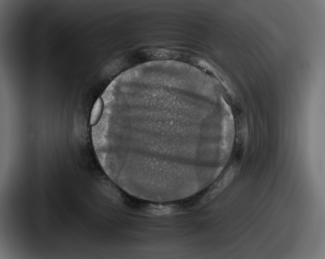 X0000086760469200705111718