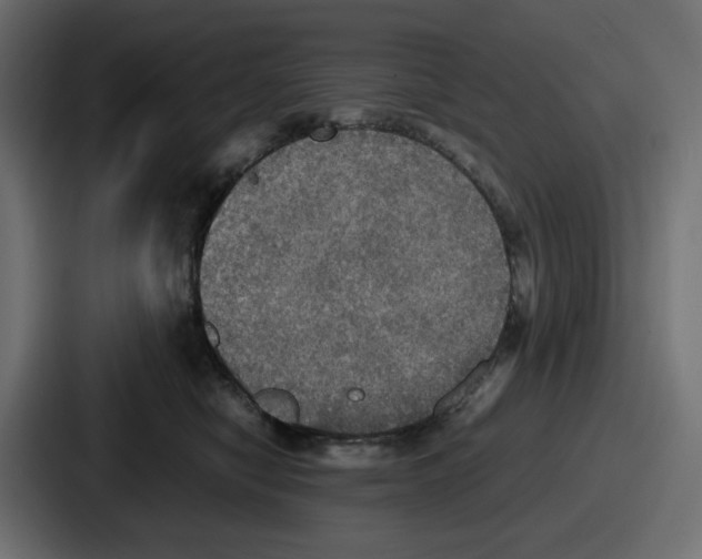 X0000086760470200705111718