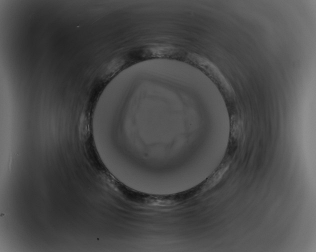 X0000086760471200705111718