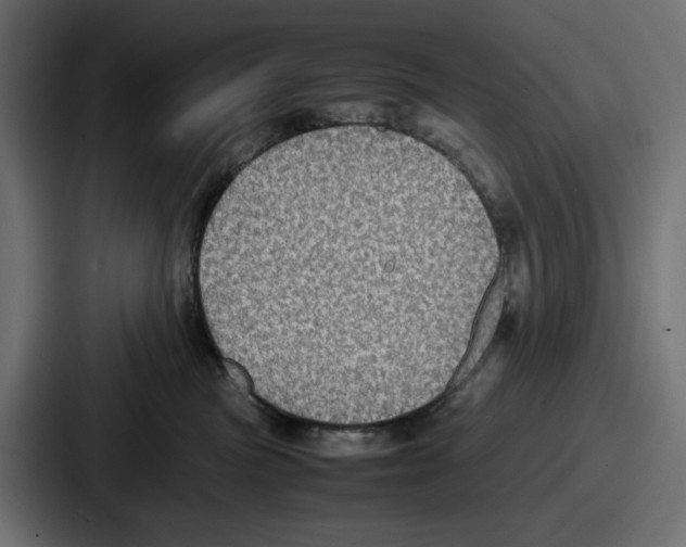 X0000086760473200705111718