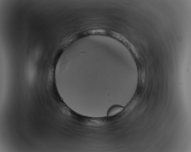 X0000086760475200705111718