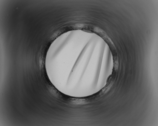 X0000086760476200705111718