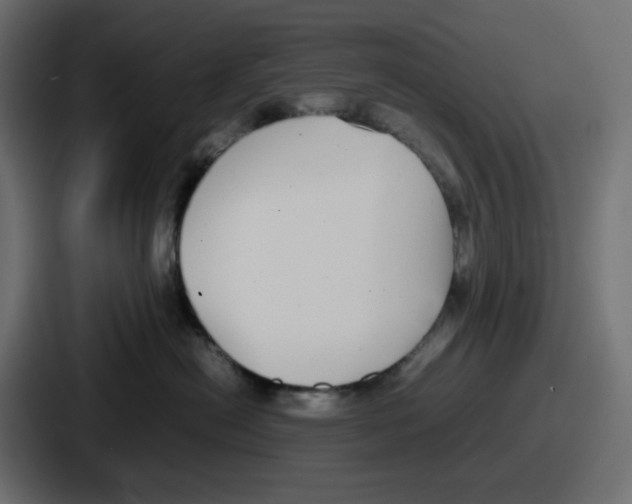 X0000086760478200705111718