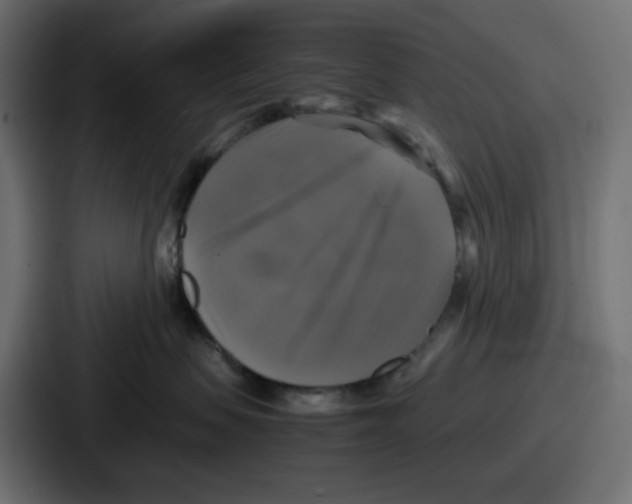 X0000086760479200705111719