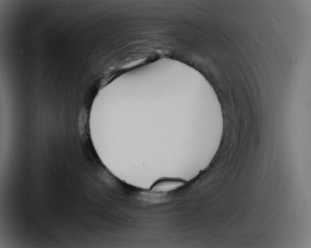 X0000086760480200705111719