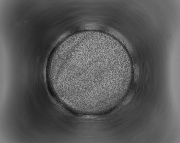 X0000086760482200705111718