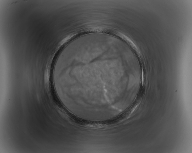 X0000086760483200705111718