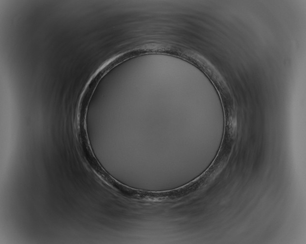 X0000086760484200705111718
