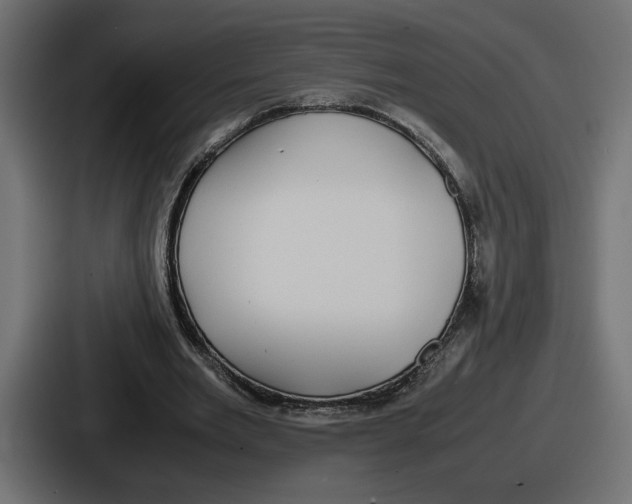 X0000086760485200705111718