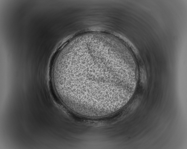 X0000086760486200705111718